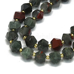 Natural Bloodstone Beads Strand&nbsp;G-I376-A16-01