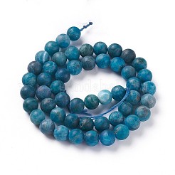 天然石アパタイトビーズ連売り  艶消し  ラウンド  8mm  穴：1mm  約49個/連  15.5インチ（39.5cm）&nbsp;G-F617-02-8mm