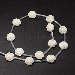 Natural Trochid Shell/Trochus Shell Beads Strands&nbsp;SSHEL-K010-02