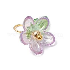 プラスチックとアクリルのペンダント  真鍮パーツ  花  ゴールドカラー  12~13x12x15mm  穴：3.5mm&nbsp;PALLOY-JF03053-01