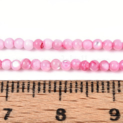 染色された天然トロキッド貝/トロコス貝のビーズ連売り  ラウンド  ショッキングピンク  2x1.7mm  穴：0.3mm  約225~229個/連  15.04~15.35''（38.2~39センチメートル）&nbsp;SSHEL-T017-13E