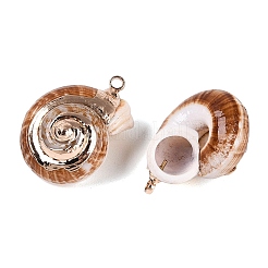 Electroplate Natural Spiral Shell Pendants&nbsp;SSHEL-Q100-34G
