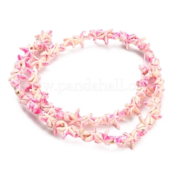 Synthetic Turquoise Beads Strands&nbsp;TURQ-F020-B03