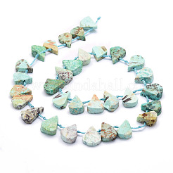 天然ペルーターコイズ（ジャスパー）ビーズ連売り  ティアドロップ  12~20x5~15x3~7mm  穴：0.8mm  約24個/連  15.04''（38.2センチメートル）&nbsp;G-E569-R05