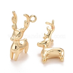 Rack Plating Brass Pendants&nbsp;KK-E267-01LG