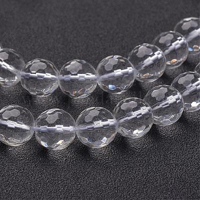 Gemstone Beads Strands&nbsp;GSFR10mm187-128-1