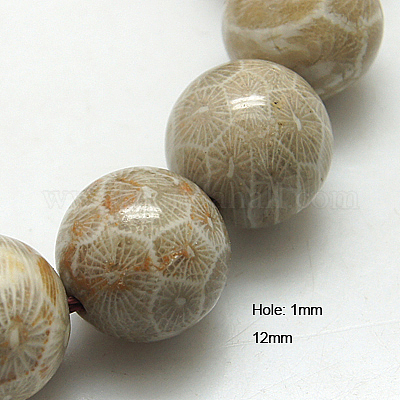 Coral fossil beads discount