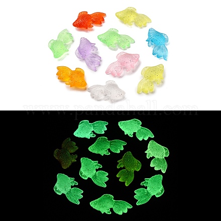 Luminous Transparent Acrylic Pendants TACR-P010-04-1