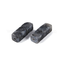 天然ラルビカイトビーズ  直方体の  13x4x4mm  穴：1.4mm&nbsp;G-G137-01M