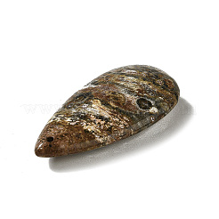 天然ヒョウ肌ジャスパーペンダント  ティアドロップチャーム  39~39.5x19~19.5x6.5~7mm  穴：1.2mm&nbsp;X-G-F731-04G
