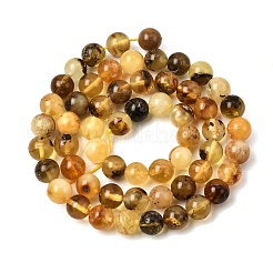 Natural Amber Beads Strands&nbsp;G-K376-H01-01