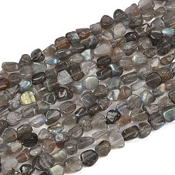天然石ラブラドライトビーズ連売り  ナゲット  タンブルストーン  8~13x8~10x3~8mm  穴：1mm  約49~50個/連  15.55~15.75''（39.5~40センチメートル）&nbsp;LS-G-Q060-E20-01