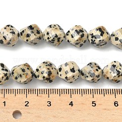 Natural Dalmatian Jasper Beads Strands&nbsp;G-C267-B21