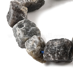 Natural Labradorite Beads Strands&nbsp;G-S386-C07