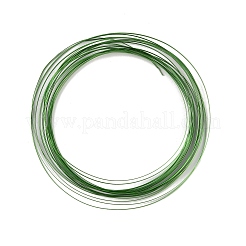 5mアルミワイヤー  フラット  DIYクラフト用  グリーン  1x0.3mm  約16.40フィート（5m）/ロール&nbsp;AW-H001-04B