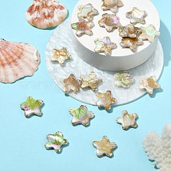 ドローベンチスタイルの天然淡水シェルビーズ 20 個  スター  トウモロコシの穂の黄色  18~19.5x18~20x3~4mm  穴：0.9mm&nbsp;BSHE-CJ0001-08