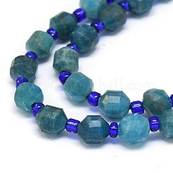 Natural Apatite Beads Strands&nbsp;G-O201B-04