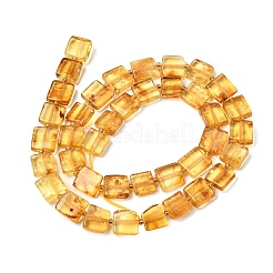 Natural Amber Beads Strands&nbsp;G-C260-A01-03