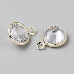 Alloy Micro Pave Cubic Zirconia Pendant&nbsp;FIND-WH0432-12C-G