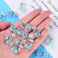 Transparent Acrylic Beads&nbsp;LS-MACR-S373-81-Q03