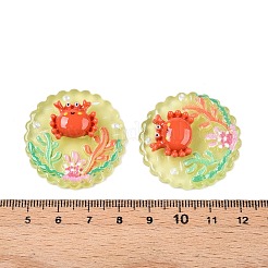 Ocean Theme Flat Round Resin Cabochons&nbsp;CRES-T025-02I