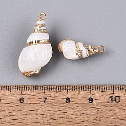 電気メッキ天然貝殻ペンダント  貝殻の形のチャーム  鉄製のループと真鍮製の金具付き  ホワイト  ライトゴールド  15~30x8~15x7~13mm  穴：1.6~1.8mm&nbsp;SSHEL-Q100-06KCG