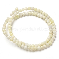 Natural Jade Beads Strands&nbsp;G-H298-A04-01