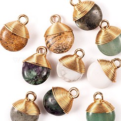 10Pcs 5 Style Natural Gemstone Pendants&nbsp;G-LS0002-08