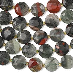 Natural Bloodstone Beads Strands&nbsp;G-A292-A09-01