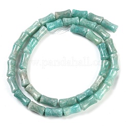 Natural Amazonite Beads Strands&nbsp;G-H064-C01-01