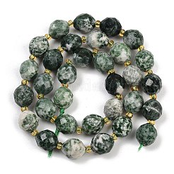 Natural Green Spot Jasper Beads Strands&nbsp;G-N342-149I-19