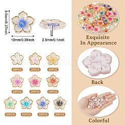 200色メッキアクリルカボション10個  ゴールドライン入り  時計と花  ミックスカラー  9.5x10x2.5mm  20個/カラー&nbsp;OACR-TA0001-17