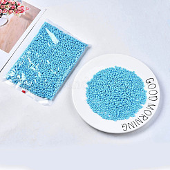 6/0 Glass Seed Beads&nbsp;SEED-S058-A-F298