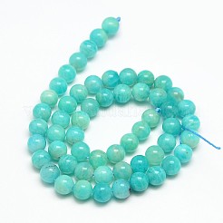 Grade AB Natural Gemstone Amazonite Round Beads Strands&nbsp;G-O017-6mm-08B