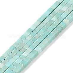 天然石瑪瑙ビーズ連売り  染め  キューブ  淡いターコイズ  2x2x2mm  穴：1mm  約150個/連  15.08インチ（38.3cm）&nbsp;G-M422-A01-04E