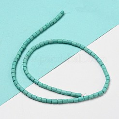 Dyed Synthetic Turquoise Beads Strands&nbsp;G-G075-A02-01