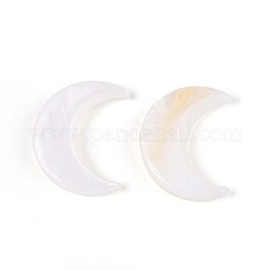 天然淡水シェルカボション  ムーン  貝殻色  12x11.5x2mm&nbsp;SHEL-S267-04B