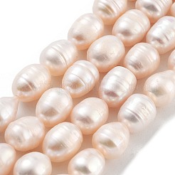 天然養殖淡水パールビーズ連売り  グレードAB +  ライス  桃パフ  7~8mm  穴：0.6mm  約19個/連  6.69''（17センチメートル）&nbsp;PEAR-P062-15B