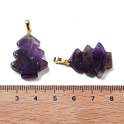 Natural Amethyst Pendants&nbsp;G-A203-01I