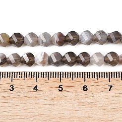 Natural Botswana Agate Beads Strands&nbsp;G-P611-C08-01