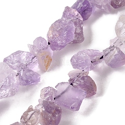 Natural Amethyst Beads Strands&nbsp;G-S386-B05