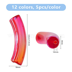 60個 12色 UVメッキ透明レインボー虹色アクリルビーズ  カーブチューブ  ミックスカラー  32~33x10x8mm  穴：1.6mm  5個/カラー&nbsp;OACR-DC0001-58