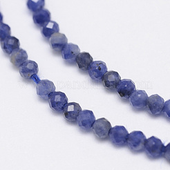 Natural Sodalite Bead Strands&nbsp;G-G936-2mm-19