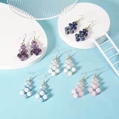 Natural Mixed Gemstone & Synthetic Hematite Teardrop Dangle Earrings&nbsp;EJEW-JE05253