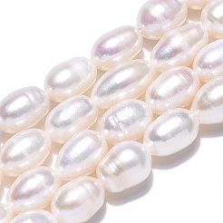 天然養殖淡水パールビーズ連売り  ライス  貝殻色  10~13x7.9~8.4mm  穴：0.7~0.8mm  約16~17個/連  7.09インチ（18cm）&nbsp;PEAR-N012-07R
