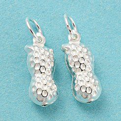 925 Sterling Silver Pendants&nbsp;STER-B002-10S