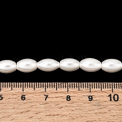 Electroplated Shell Pearl Beads Strands&nbsp;BSHE-C010-02