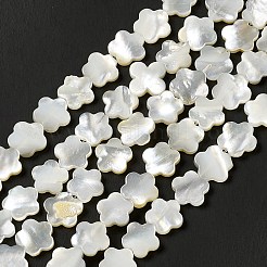 Natural White Shell Beads Strands&nbsp;SHEL-F003-07