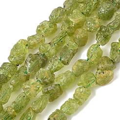 未加工の天然ペリドットビーズ連売り  ナゲット  6~24x7~16x4~10mm  穴：1mm  約25~38個/連  15.35~15.94''（39~40.5センチメートル）&nbsp;G-M453-D12