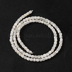 Natural Trochus Shell Beads Strands&nbsp;BSHE-S304-09B